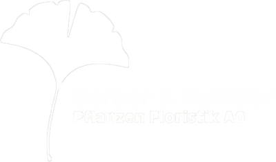 Gerber und Nyffeler Floristik